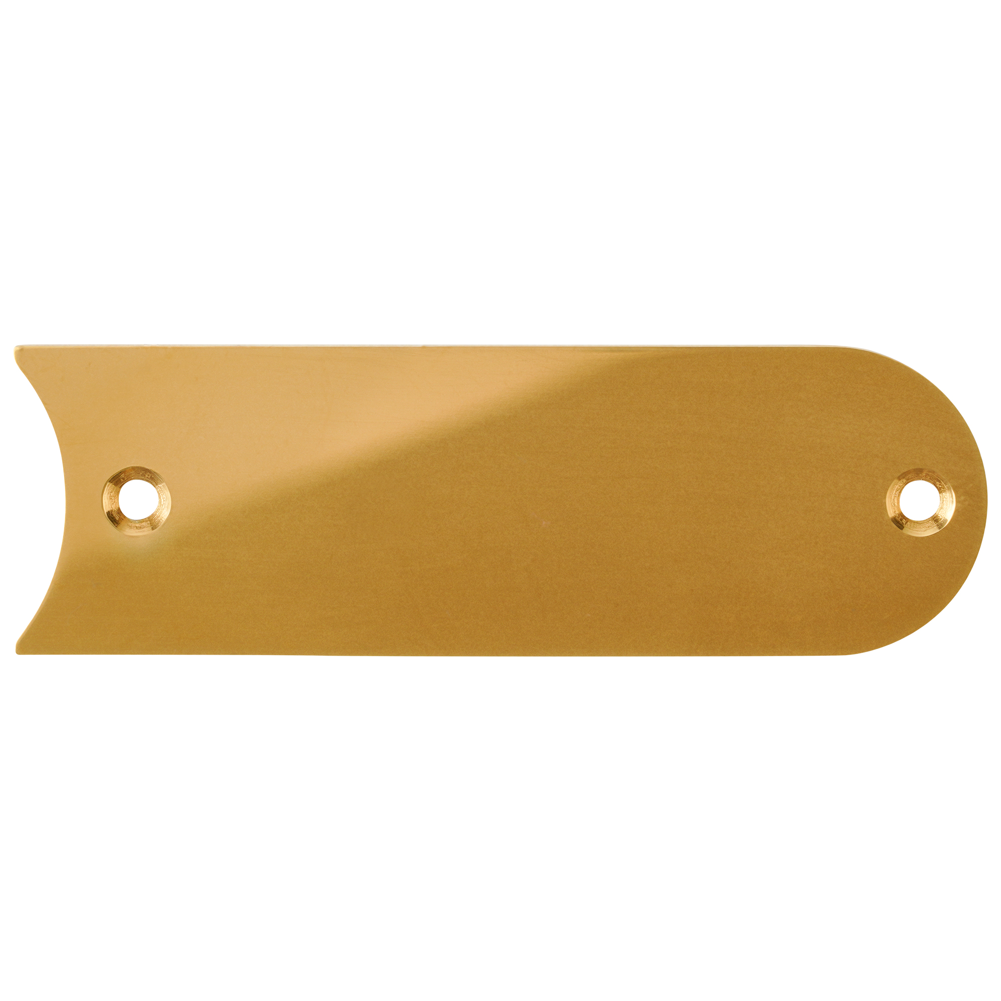 Goldfarbenes Gravierschild mit zwei kleinen Schraublöchern, rechts konvex abgerundet, links konkav abgerundet