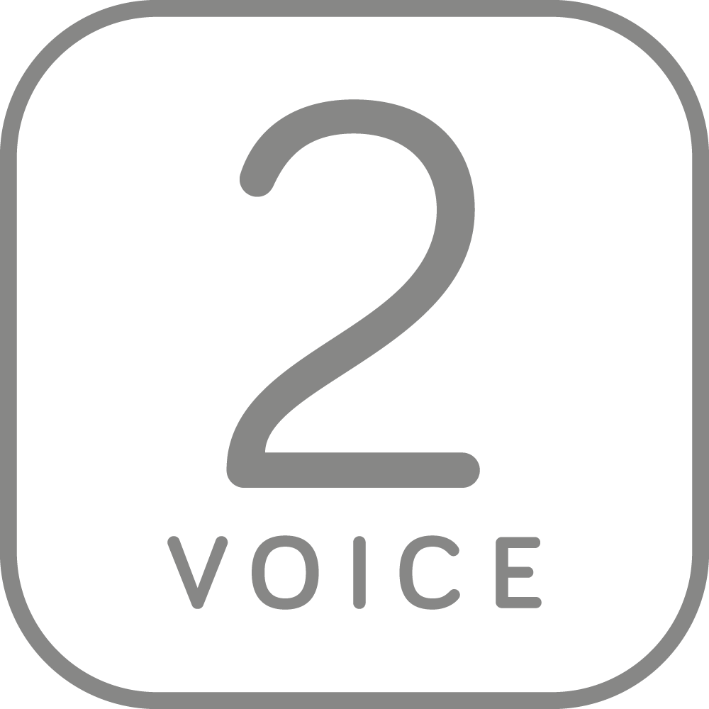 Icon 2Voice