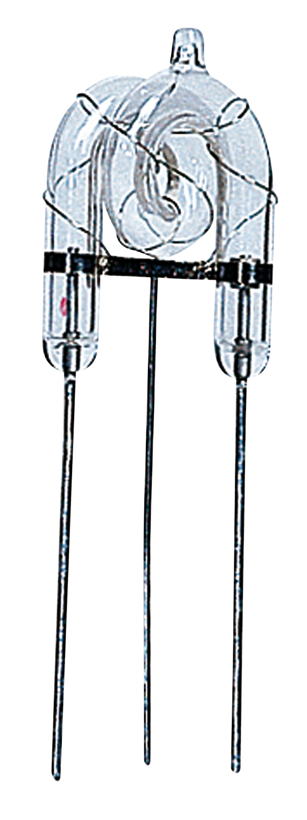 Ringförmige Xenon-Röhre mit Glaskörper und drei Metallanschlüssen für Blitzleuchten