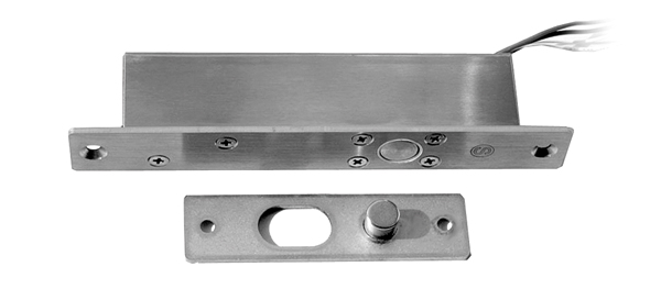 Elektrische Verriegelung mit Rückmeldekontakt