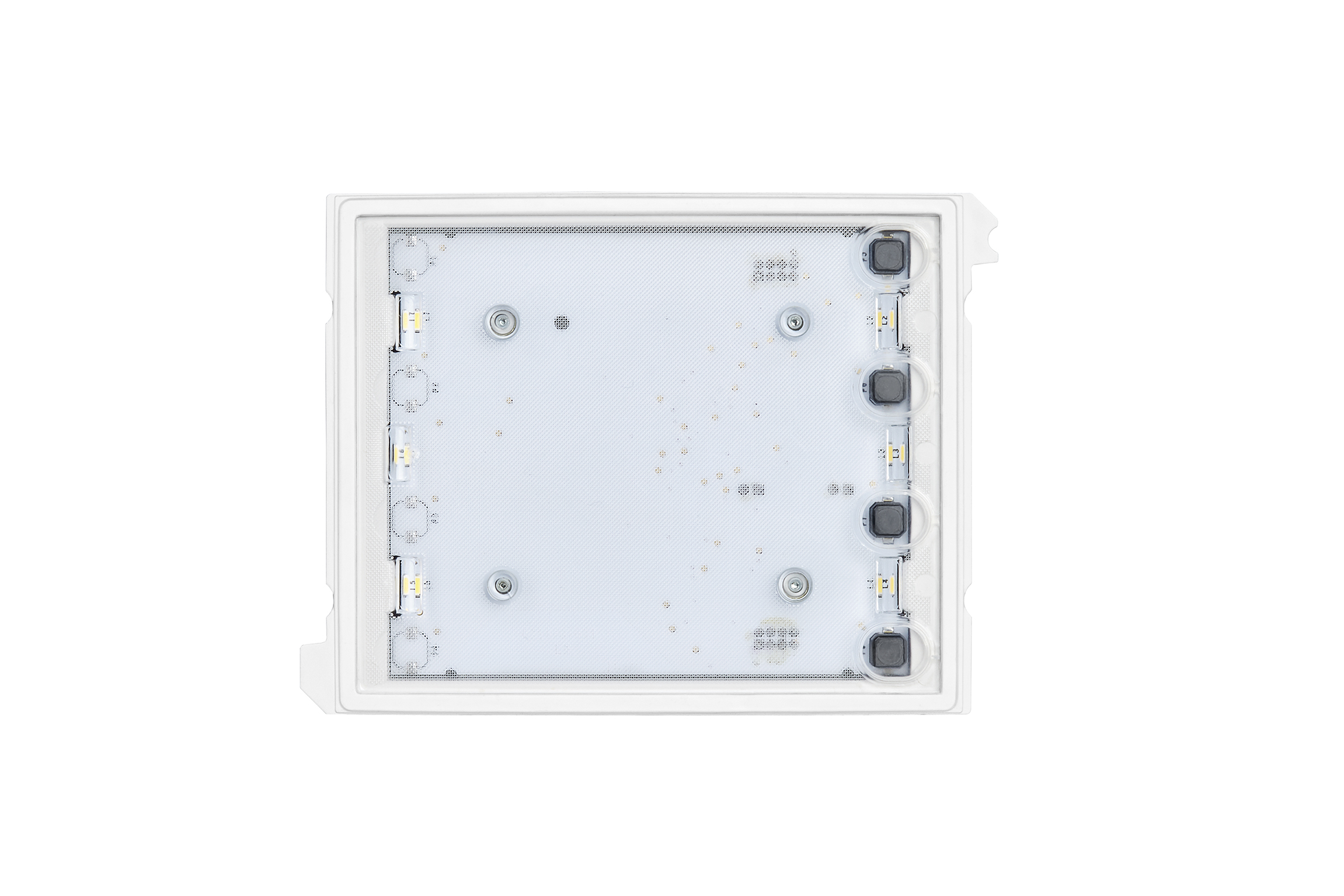 Innenansicht eines Tastenfeld-Moduls mit Leiterplatte, vier Tastern, LEDs und Schraubpunkten zur Montage.