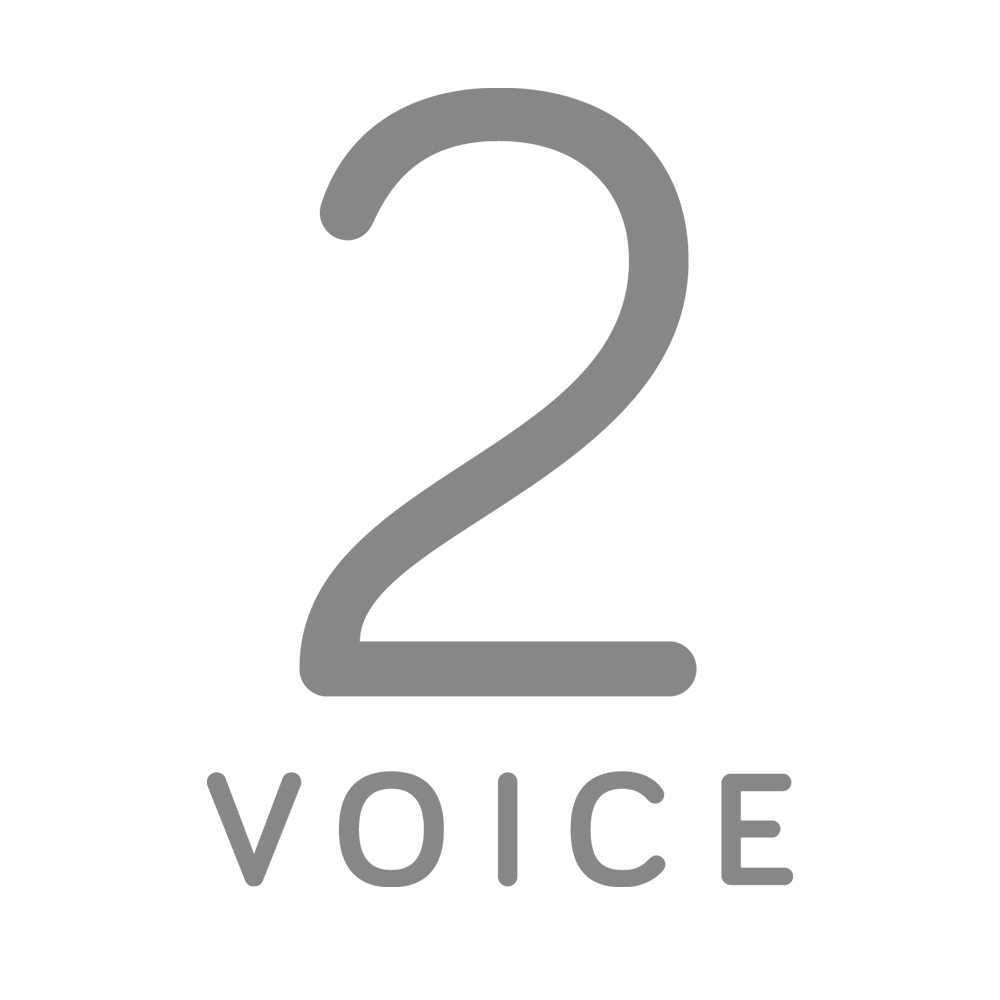 Icon 2Voice