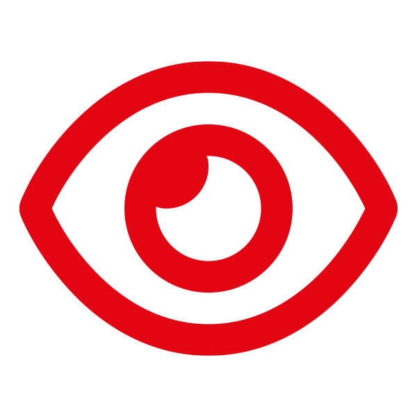 Icon Auge /Videosprechanlage